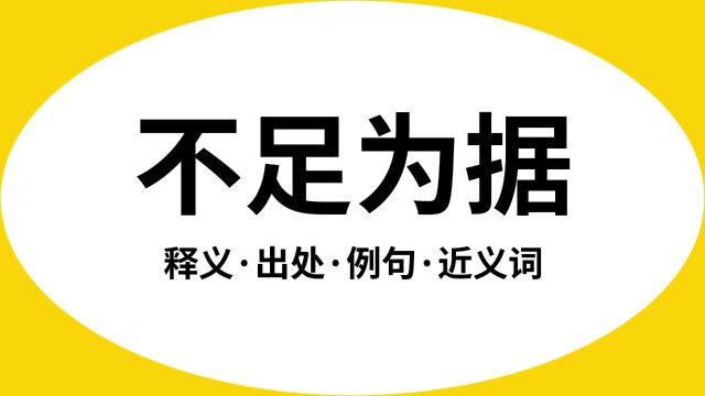 “不足为据”是什么意思?