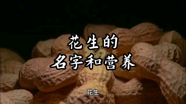 花生的名字和营养