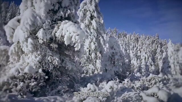 世界上“最冷”的国家,零下50度是常态,居民出门也随身带着生肉