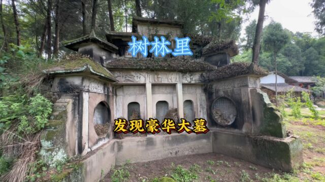 在四川成都发现一座豪华大墓,藏在小树林之中,保存非常完整,雕刻工艺十分精湛