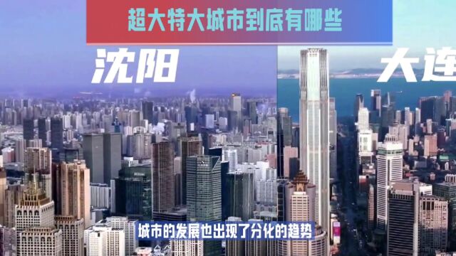 超大特大城市盘点:你所不知道的13个中国巨人