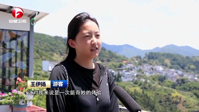 安徽:加快建设和美乡村 助推乡村全面振兴