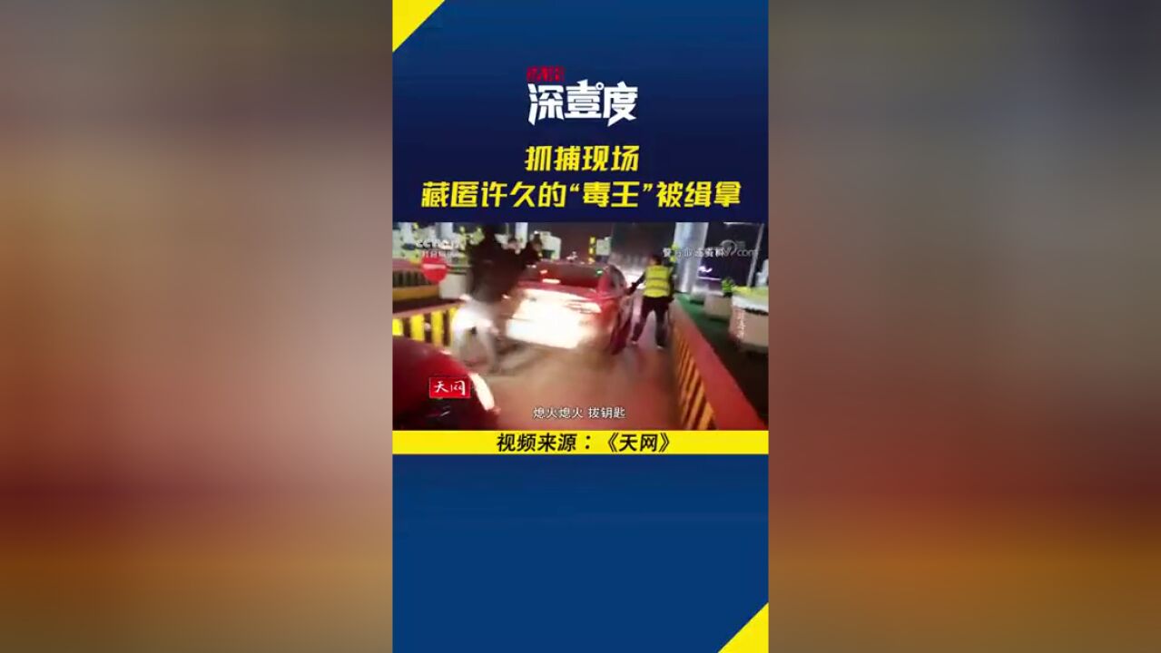 抓捕现场藏匿许久的“毒王”被缉拿