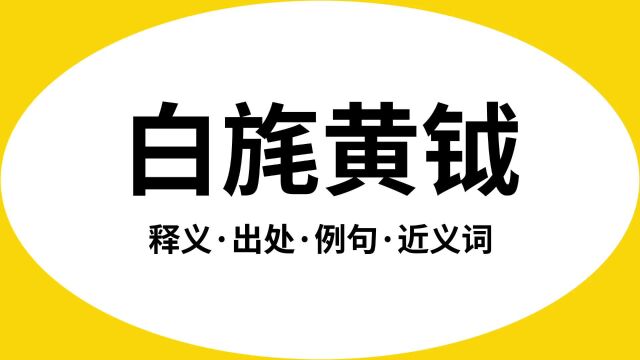 “白旄黄钺”是什么意思?