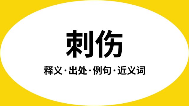 “刺伤”是什么意思?