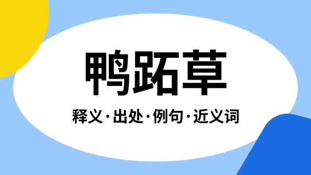 “鸭跖草”是什么意思?