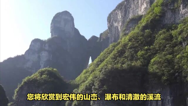 探寻湖南张家界绝色秀美的风景旅游区,快来看看吧!