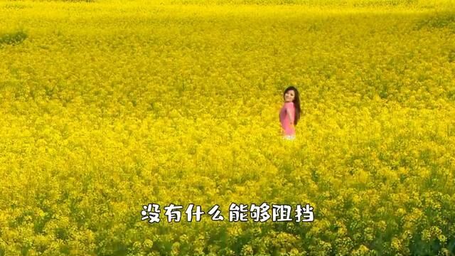 每日推荐音乐#音乐 #许巍