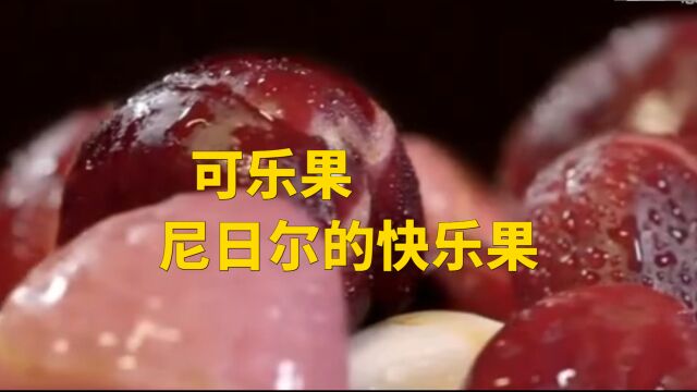 可乐果,尼日尔的快乐果