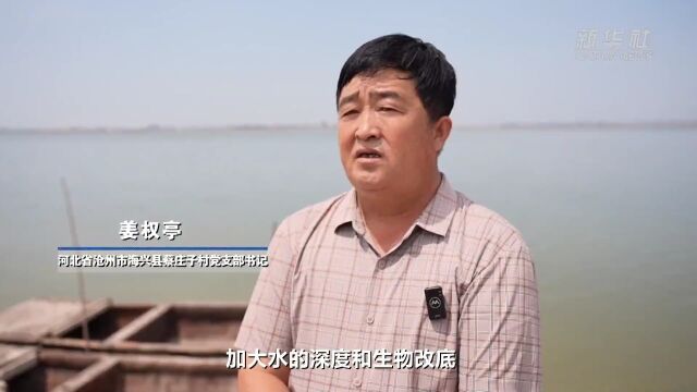 央媒看沧州|河北海兴:依托盐碱滩涂打造“蓝色粮仓”