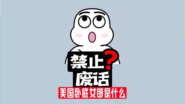 【禁止废话】美国卧底女郎是什么?可能和你想象的不同