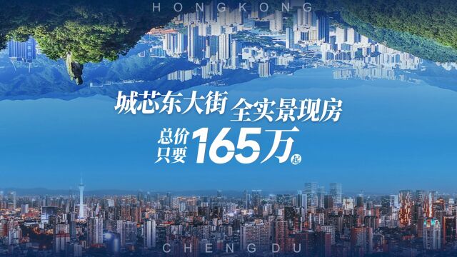 城芯东大街全实景现房,总价只要165万起!