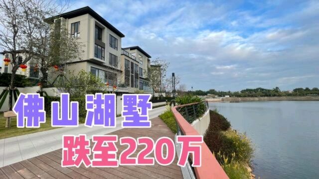 佛山楼市泡沫终破裂,湖景别墅腰斩至220万,房地产不堪回首!#佛山别墅