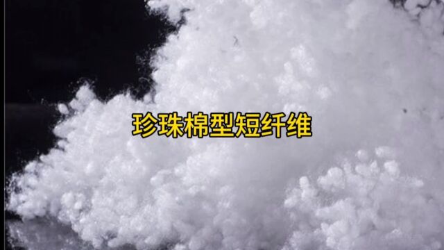 什么是珍珠棉型中空短纤维