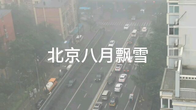 北京八月飘雪