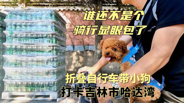 折叠自行车带小狗骑行吉林市哈达湾,水泥厂碳素厂铁合金,重温电影取景地