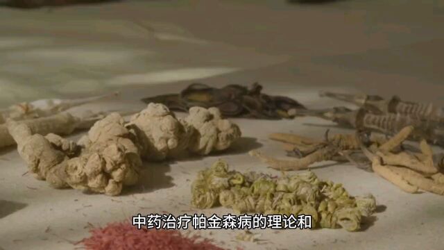 中医看帕金森的理论和实践