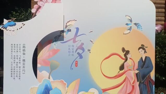 爱情天梯公益相亲活动