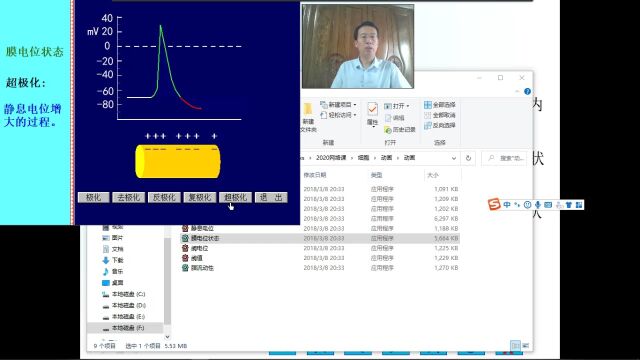 2细胞8动作电位1