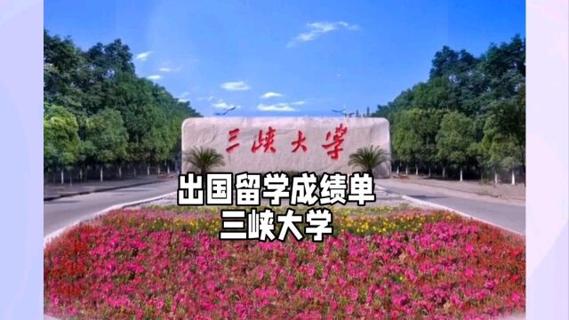 鸿雁寄锦出国留学中英文成绩单证明打印 三峡大学