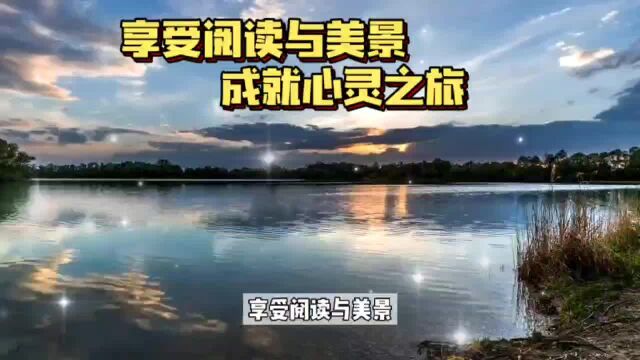 追求智慧与愉悦的阅读,享受优美的风景,让心灵得到沉醉与滋养