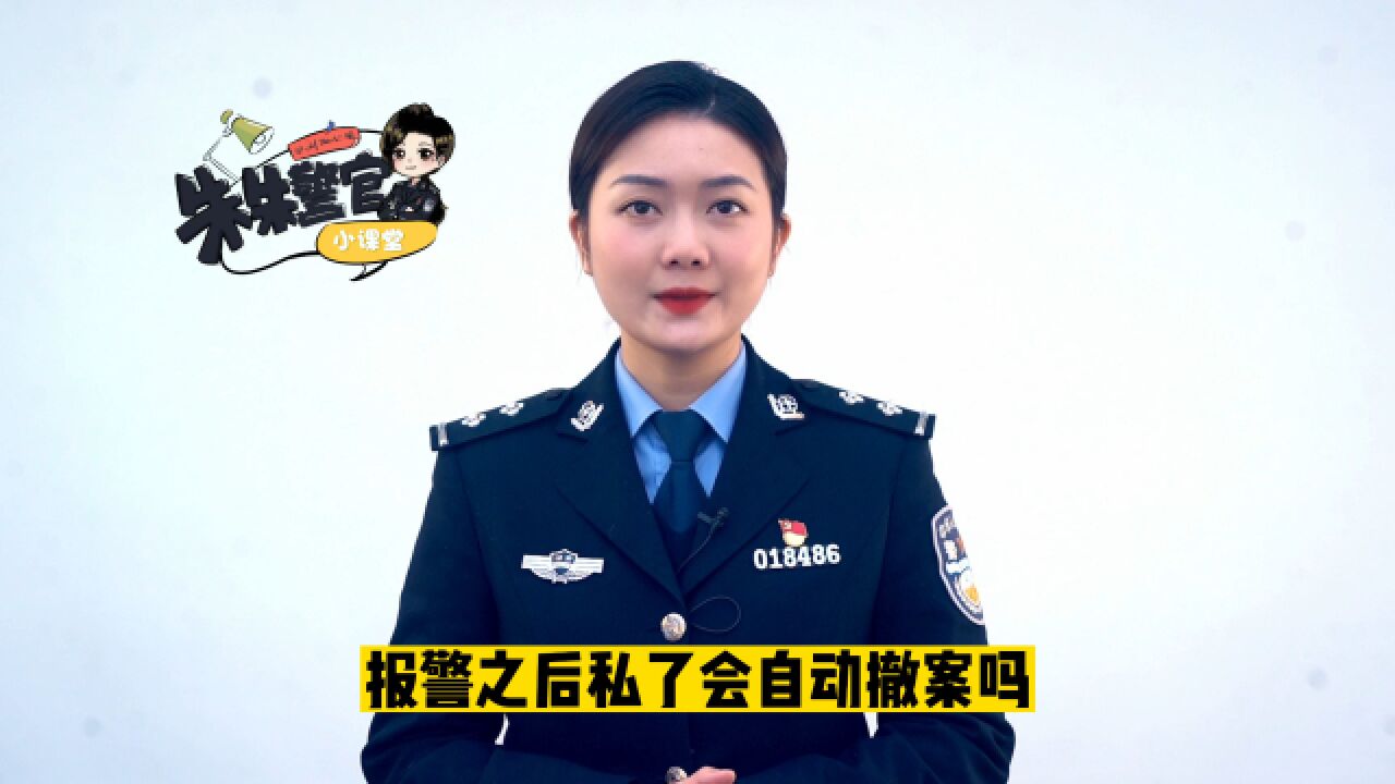 报警后私了会自动撤案吗?