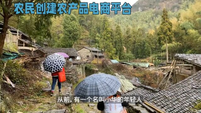 贫困山村少年小华,用创新改变人生,农产品电商成就梦想