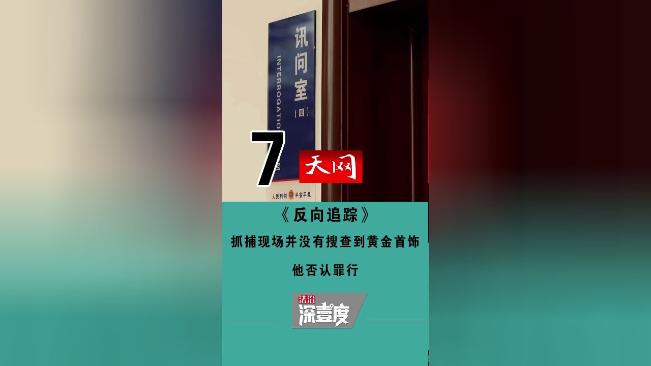 天网——反向追踪7抓捕现场并没有搜查到黄金首饰,他否认罪行