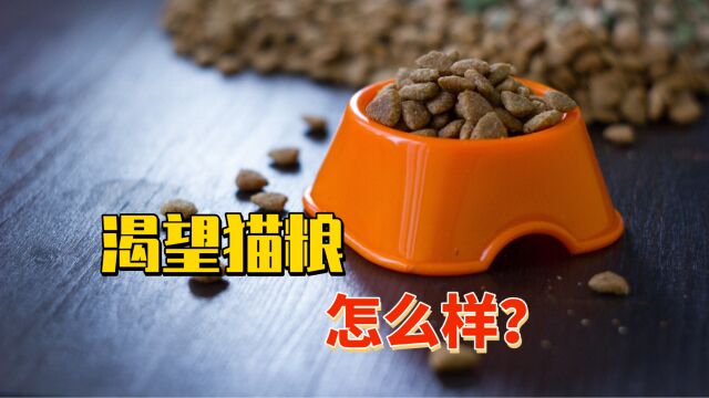 渴望猫粮怎么样?让我们一起看看