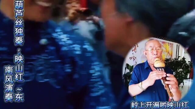 葫芦丝独奏《映山红》