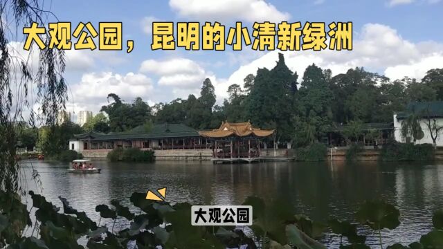 大观公园,昆明的小清新绿洲