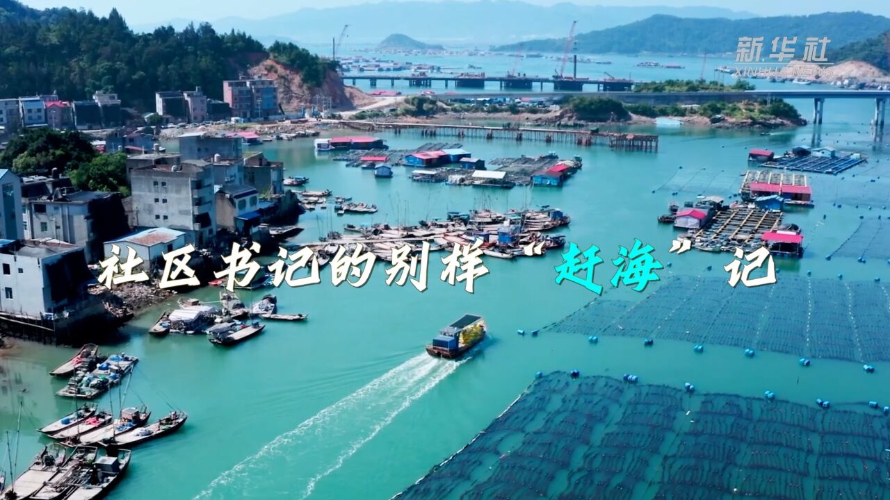 社区书记的别样“赶海”记