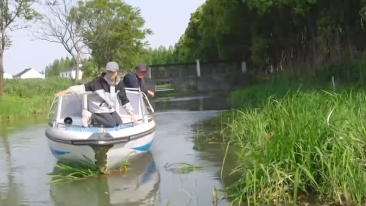 想要进入八卦水寨需要经过三道堰,这三种堰在八卦水寨中被巧妙地运用