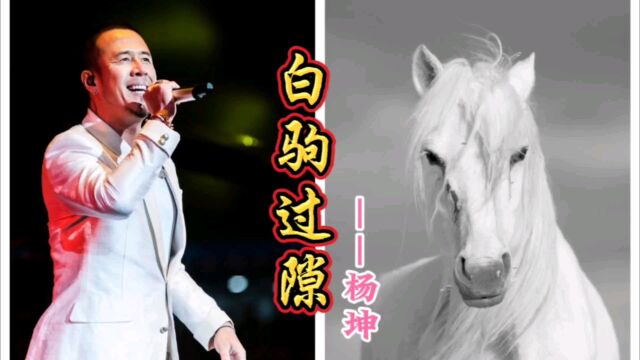 杨坤发布新歌《白驹过隙》引热议