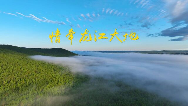 第1视点|情牵龙江大地