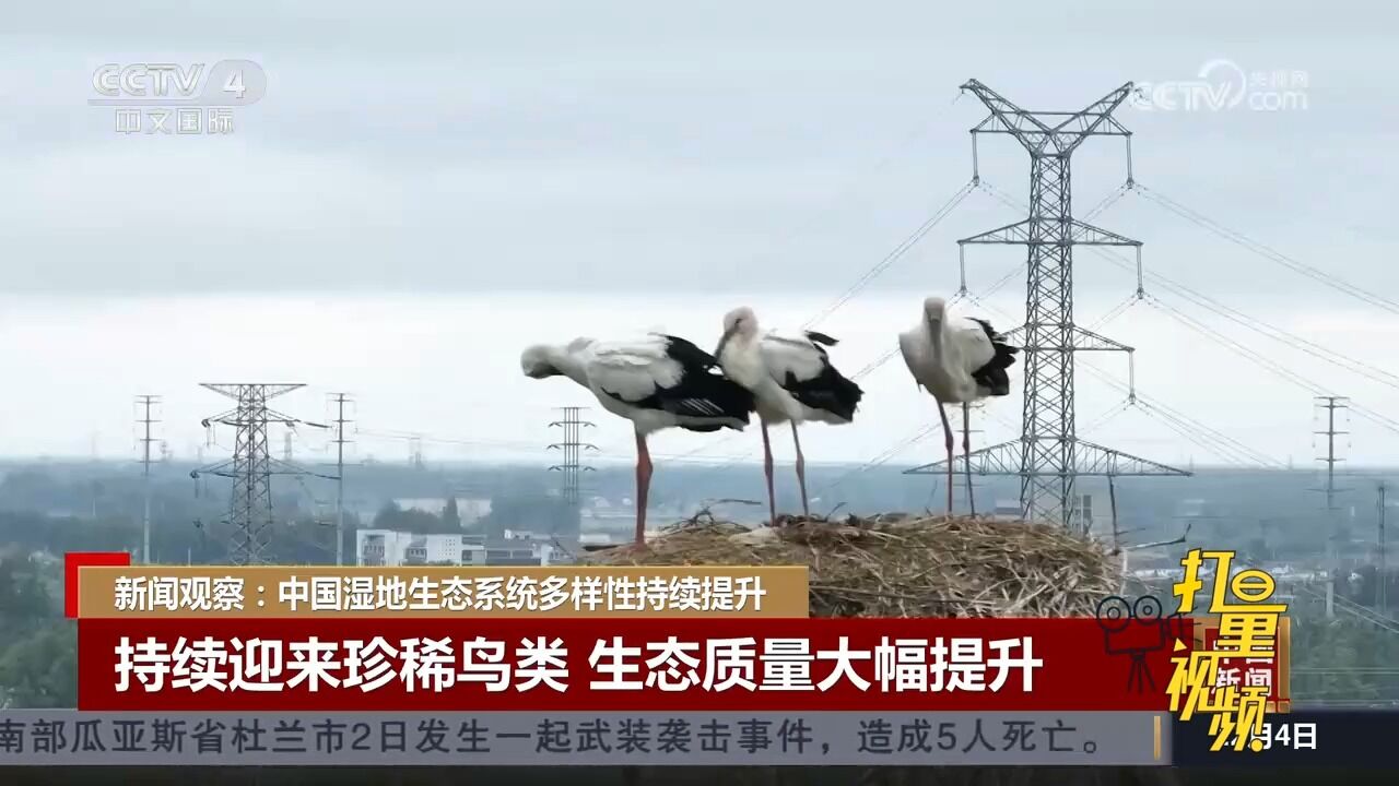 中国湿地生态系统多样性持续提升,生态质量大幅提升