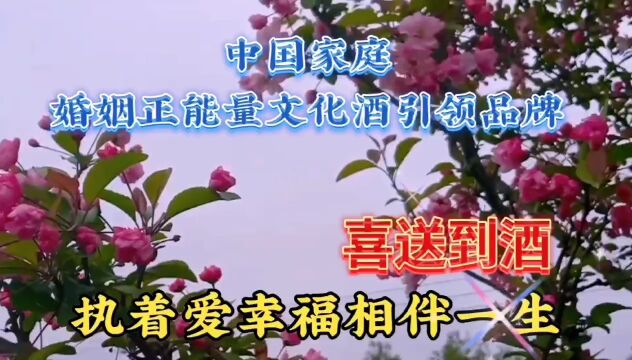 树花自然风光,鲜花美景赏心悦目,颜色温馨真好看,心情美美哒!