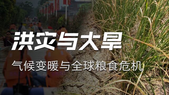 全球变暖结束?沸腾时代来临与全球粮食危机