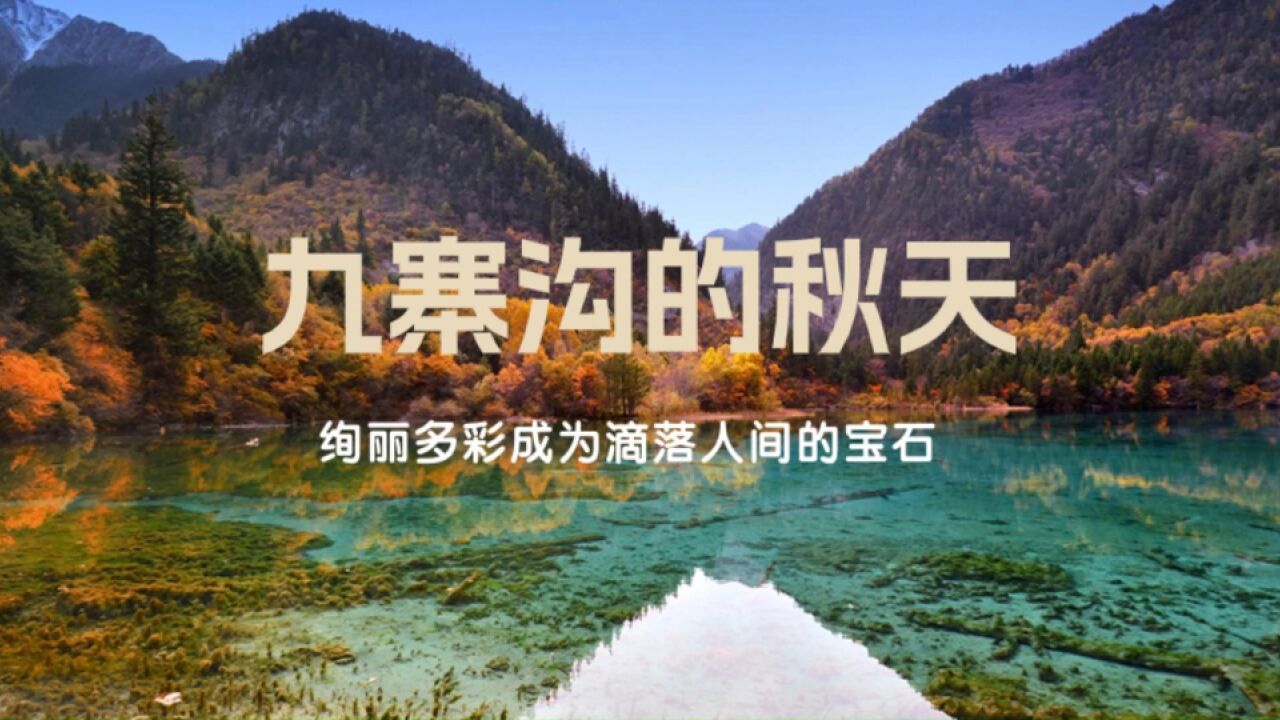 九寨沟的秋天,绚丽多彩成为滴落人间的宝石