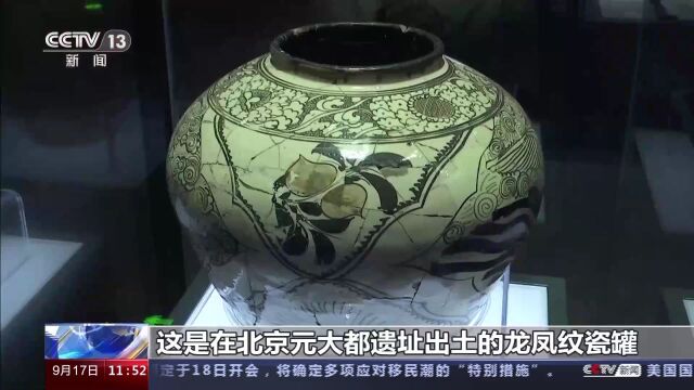 国宝文物怎么看?龙图腾有哪些演变?带你逛中国考古博物馆