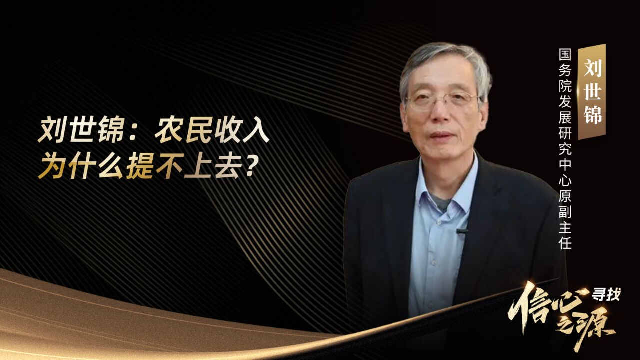 刘世锦:农民收入为什么提不上去?