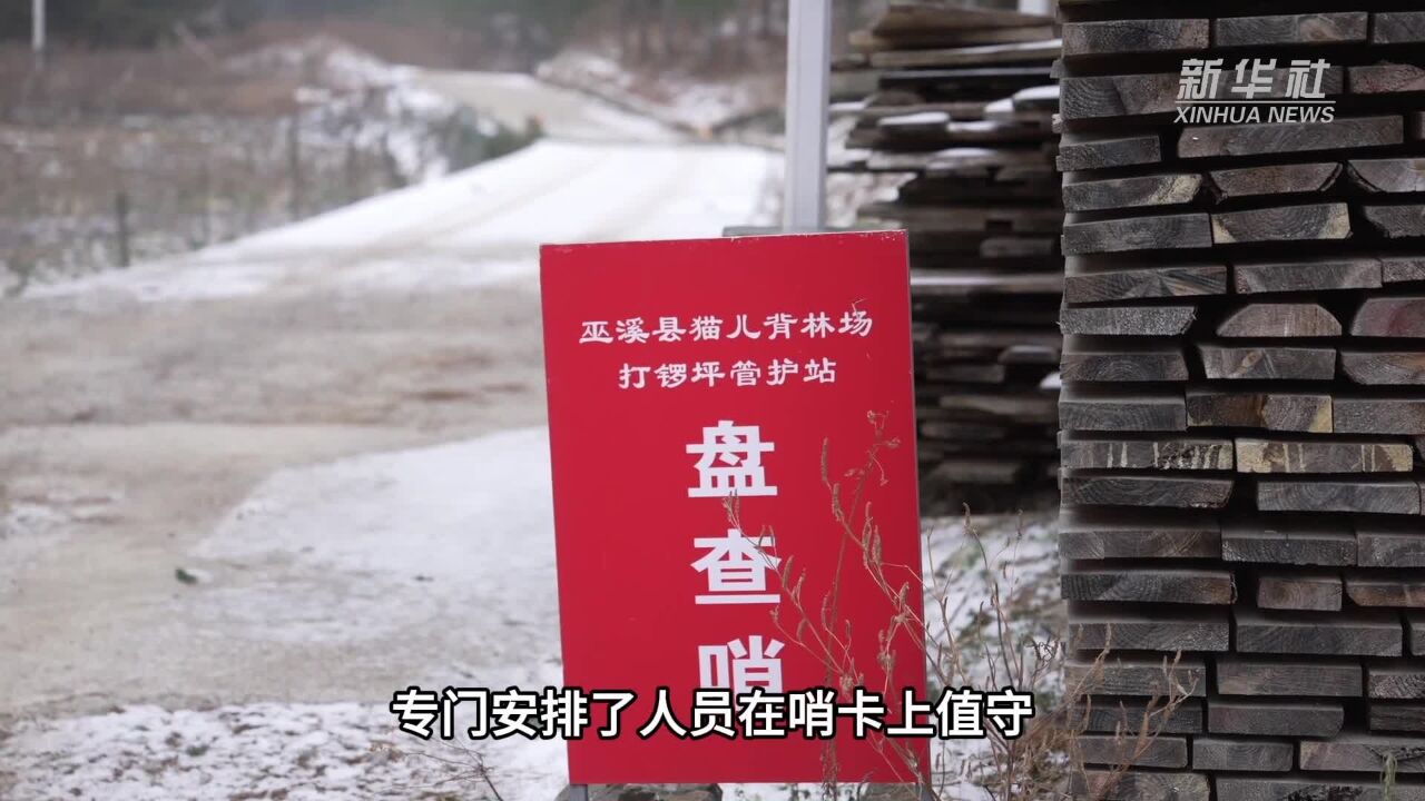 重庆巫溪:白雪更映“志愿红”