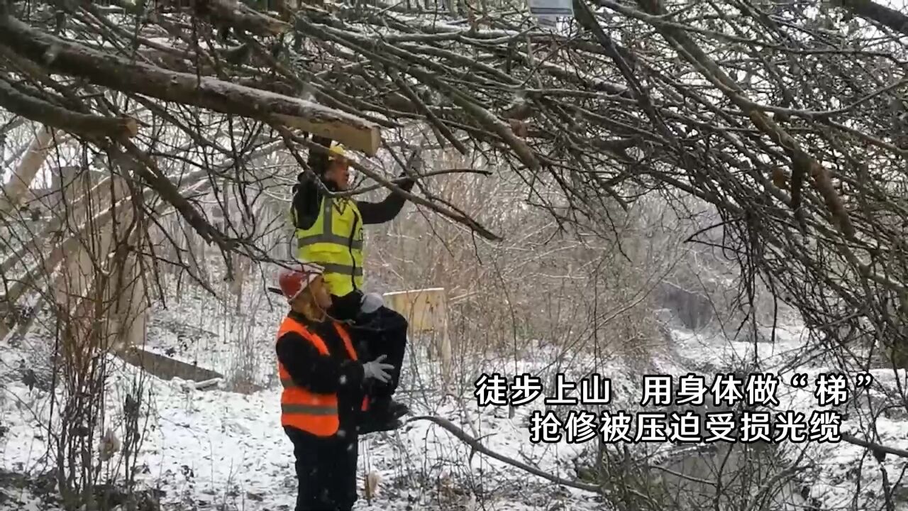 逆行而上 踏雪而行