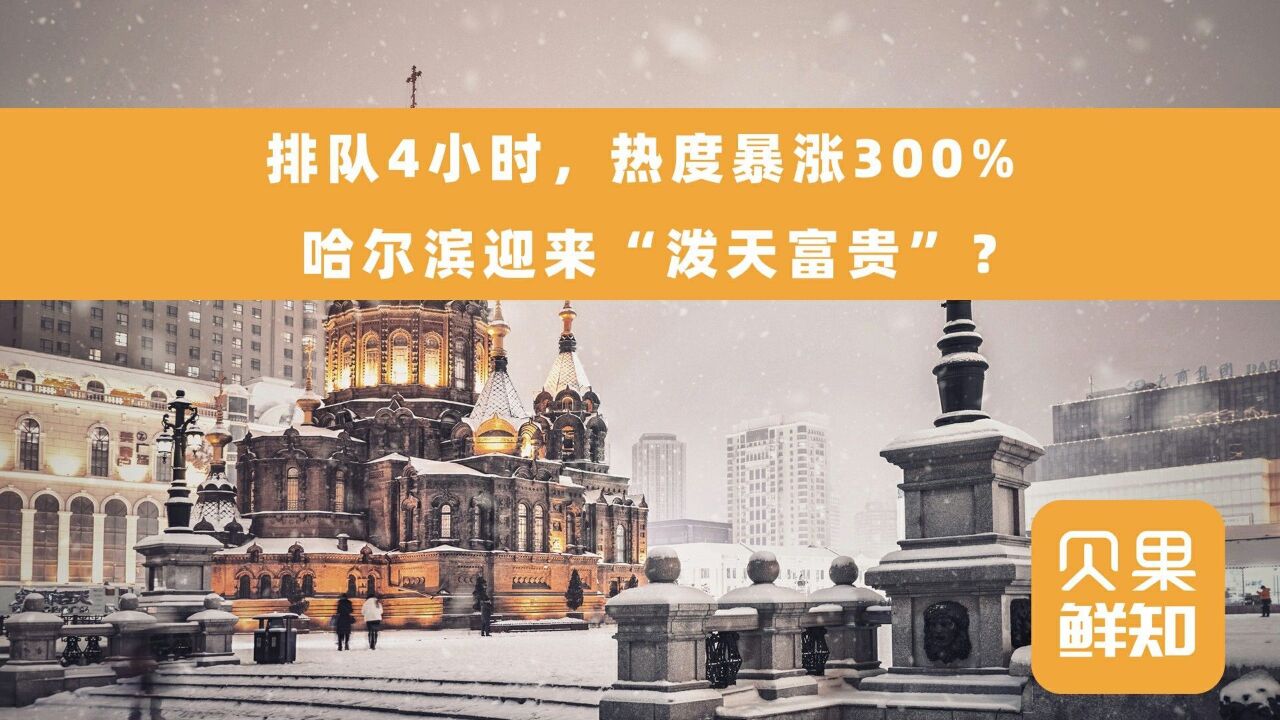 网红的风吹到了哈尔滨!越冷游客越多,今冬冰雪旅游格外火爆?