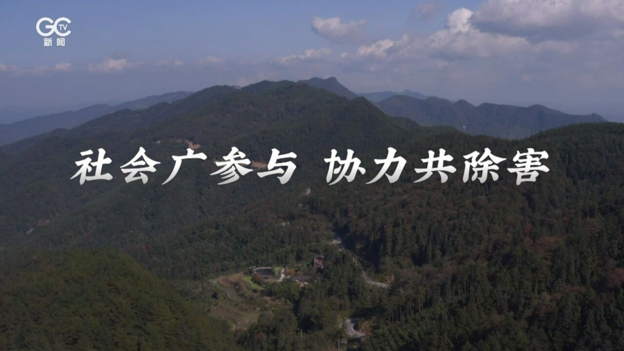 松材线虫病防控5年攻坚行动 重庆梁平:社会广参与 协力共除害