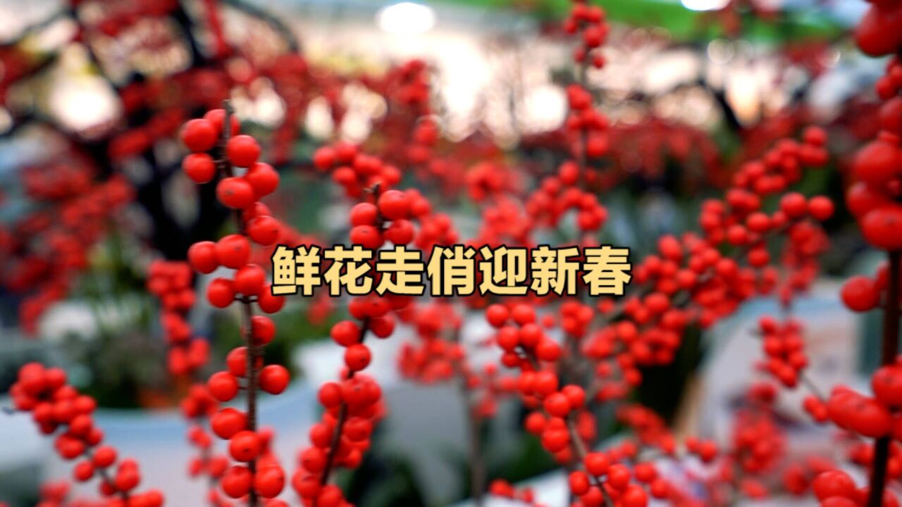 鲜花走俏迎新春