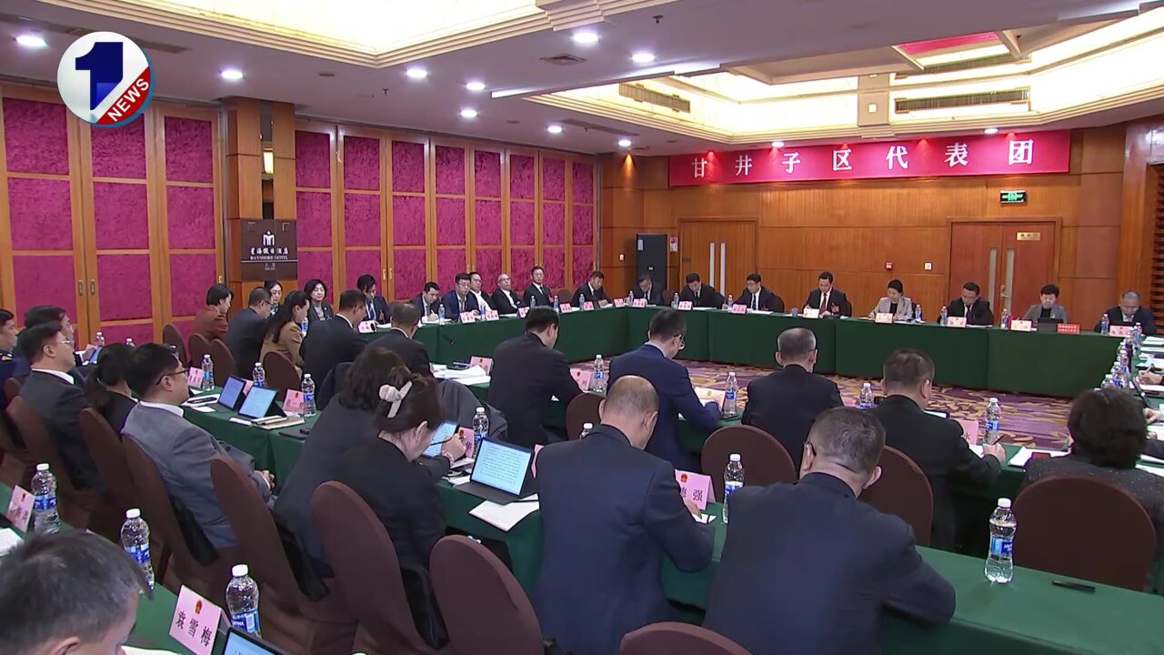 陈绍旺参加市十七届人大三次会议甘井子区代表团分组审议