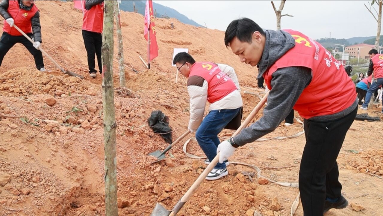 “党建领航 绿美侨乡”行动在江门蓬江启动