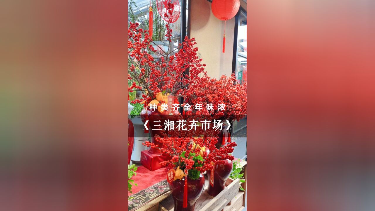 龙年买年宵花哪家强?长沙三湘花卉市场攻略来啦!