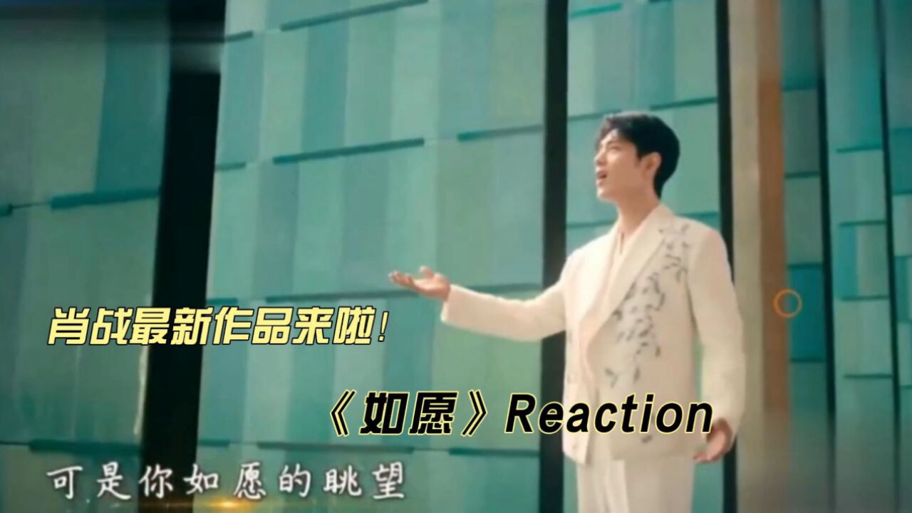 肖战最新作品《如愿》reaction